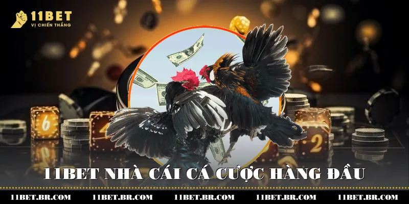 Đỉnh Cao Đá Gà C1 Tại Nhà Cái 11BET 4 11BET - Nhà cái cá cược hàng đầu