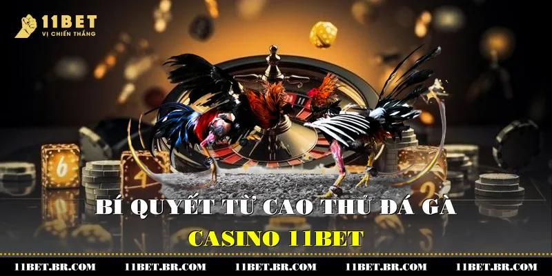 Bí quyết từ cao thủ đá gà 11BET