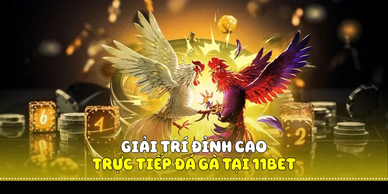 Giải Trí Đỉnh Cao Với Trực Tiếp Đá Gà Tại 11BET 4 Trực Tiếp Đá Gà